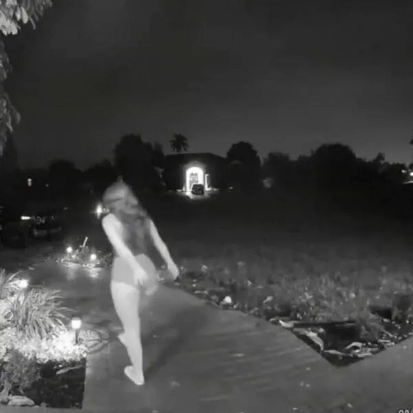 Türklingelkamera hält unerwarteten Moment fest – und bringt eine ganze Nachbarschaft zum Staunen