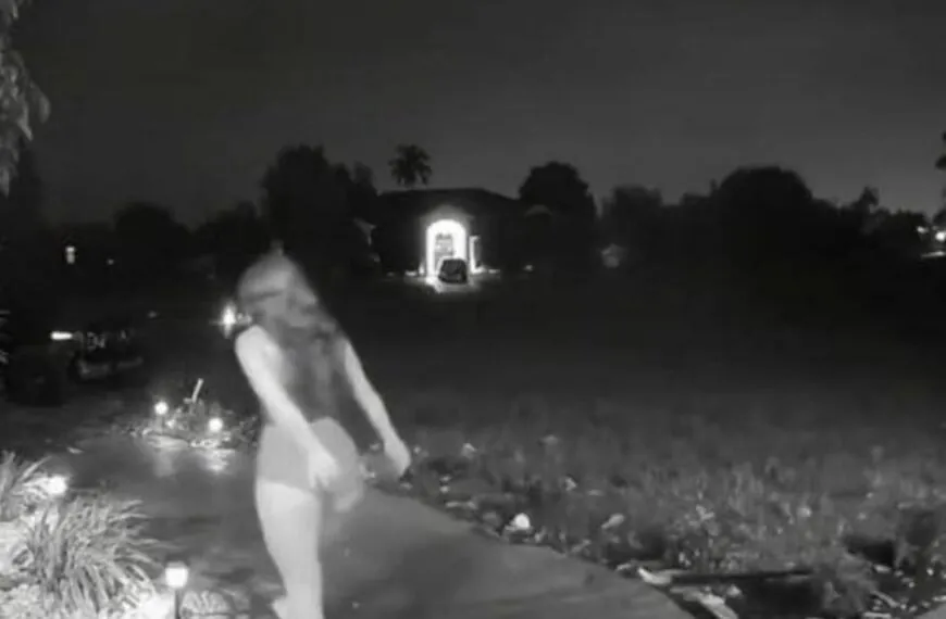 Türklingelkamera hält unerwarteten Moment fest – und bringt eine ganze Nachbarschaft zum Staunen