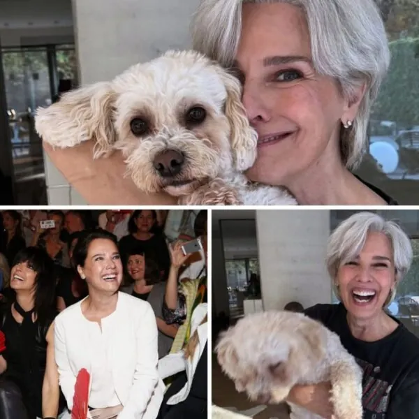 &bdquo;Spektakul&auml;re Verwandlung! D&eacute;sir&eacute;e Nosbusch uberrascht Fans mit neuem Look &sbquo;Ich h&auml;tte sie fast nicht erkannt!'&ldquo;