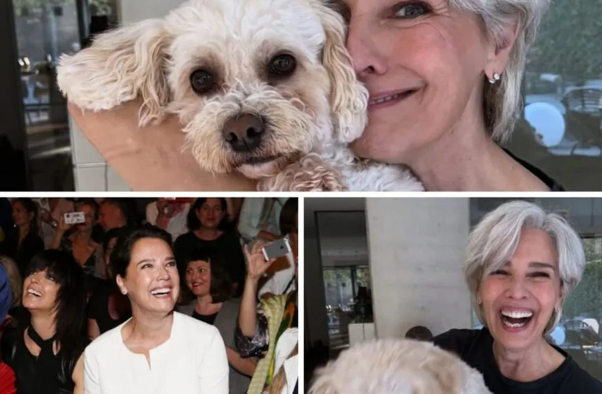 &bdquo;Spektakul&auml;re Verwandlung! D&eacute;sir&eacute;e Nosbusch uberrascht Fans mit neuem Look &sbquo;Ich h&auml;tte sie fast nicht erkannt!'&ldquo;