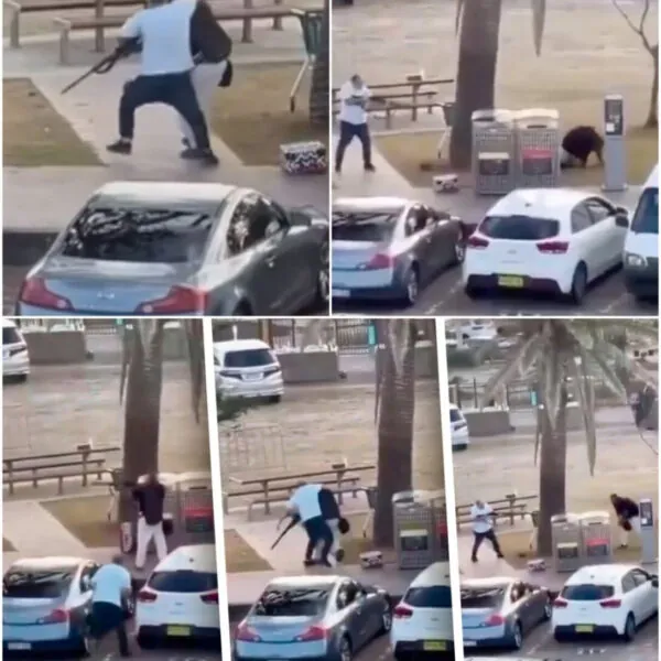 Der „Held von Bondi Beach“ – Wie eine dramatische Geschichte das Netz bewegt