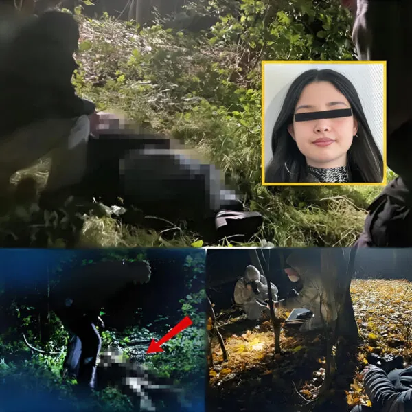 Tod auf dem Heimweg: Das grausame Ende von Sophie B. (26) &ndash; Ein Verbrechen, das eine ganze Region in Angst versetzt