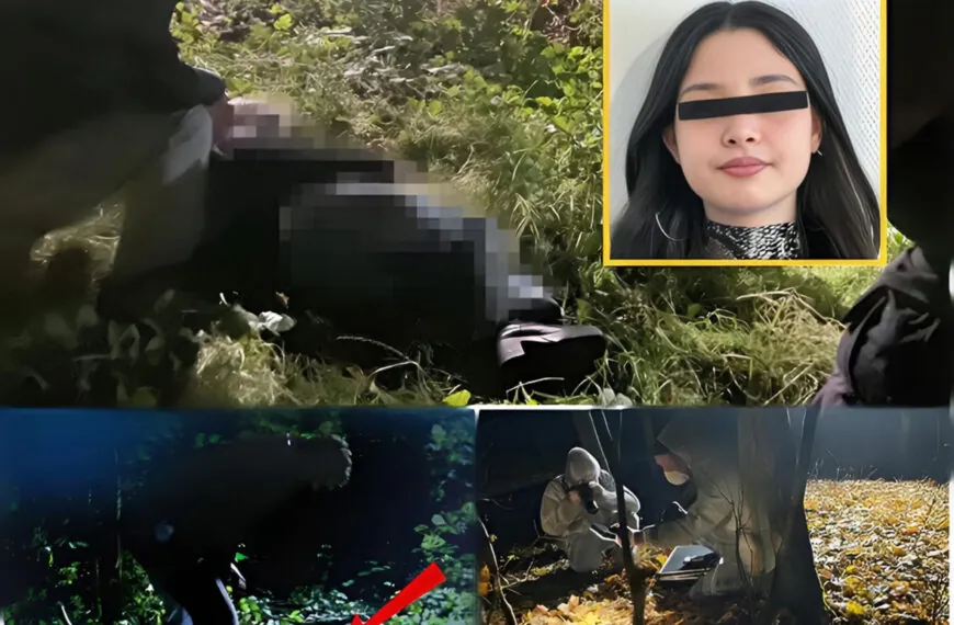 Tod auf dem Heimweg: Das grausame Ende von Sophie B. (26) &ndash; Ein Verbrechen, das eine ganze Region in Angst versetzt