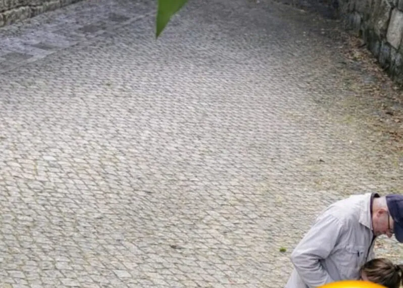 Ein wöchentlicher Termin wirft Fragen auf: Enkel folgt seinem Opa und entdeckt eine schockierende Wahrheit