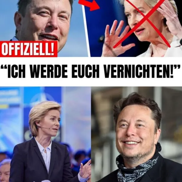 Schockwelle aus dem Silicon Valley: Wie der Konflikt zwischen Elon Musk und der EU eskaliert