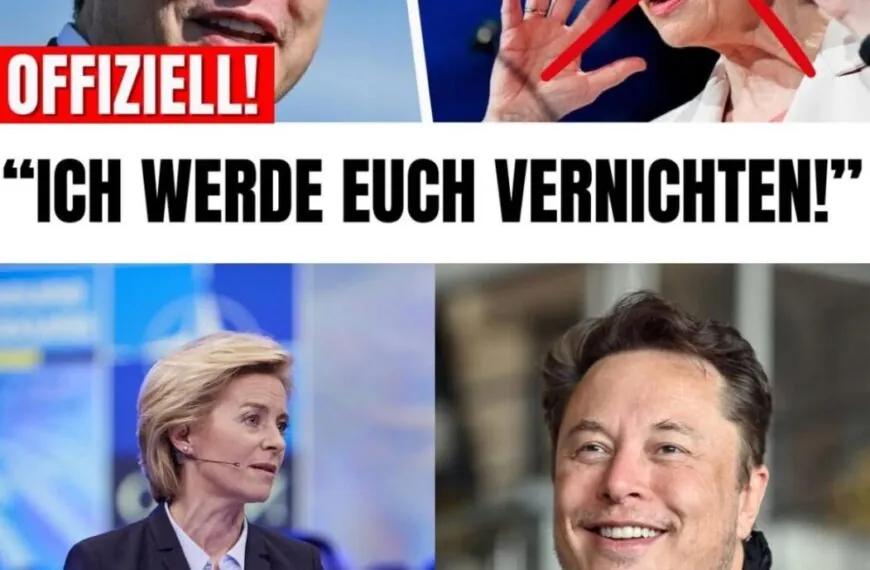 Schockwelle aus dem Silicon Valley: Wie der Konflikt zwischen Elon Musk und der EU eskaliert