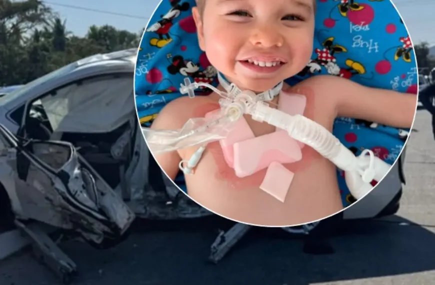 Endlich ist die Halskrause ab! Kleiner Olli (2) gibt nach schwerem Unfall nicht auf