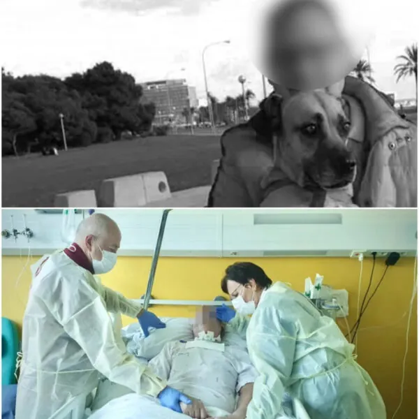 Ronald auf Mallorca ins Koma gepr&uuml;gelt &ndash; Ein Jahr Kampf, der tragisch endete