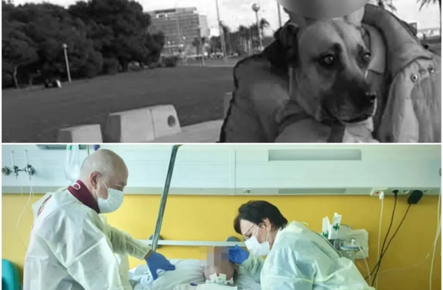 Ronald auf Mallorca ins Koma geprügelt – Ein Jahr Kampf, der tragisch endete