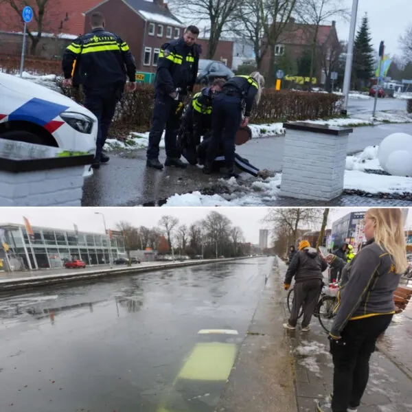 Navigationsfehler mit dramatischen Folgen: Frau fährt in Eindhoven in den Kanal – couragierter Helfer rettet ihr das Leben