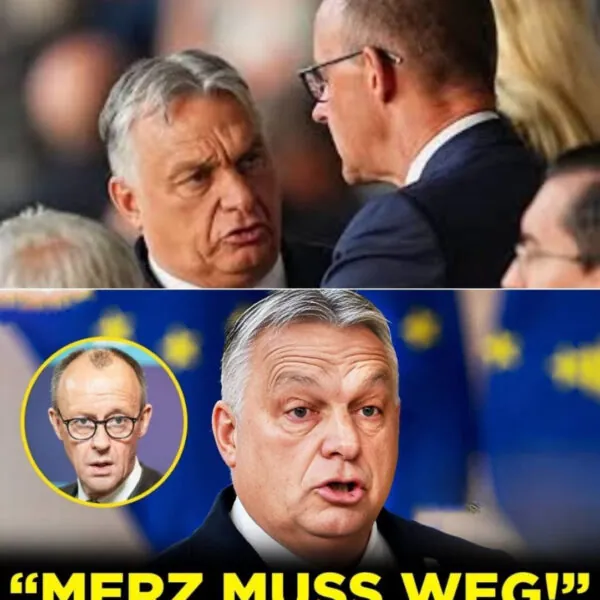 Wenn Aufmerksamkeit wichtiger wird als Wahrheit: Über die Mechanismen moderner Desinformation im Netz