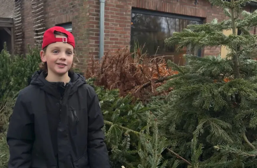 Ein ungewöhnlicher Appell zur Weihnachtszeit: Wenn Umweltbewusstsein von den Jüngsten kommt