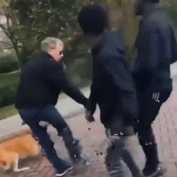 Feigheit am helllichten Tag: Wenn ein harmloser Spaziergang zur Gewalttat wird