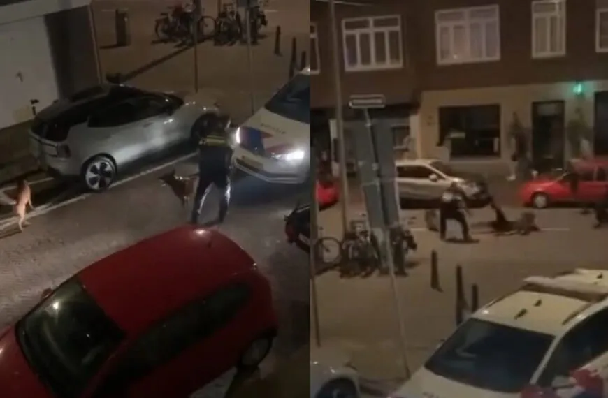 D&uuml;sseldorf: Wenn Geduld endet und konsequentes Handeln beginnt