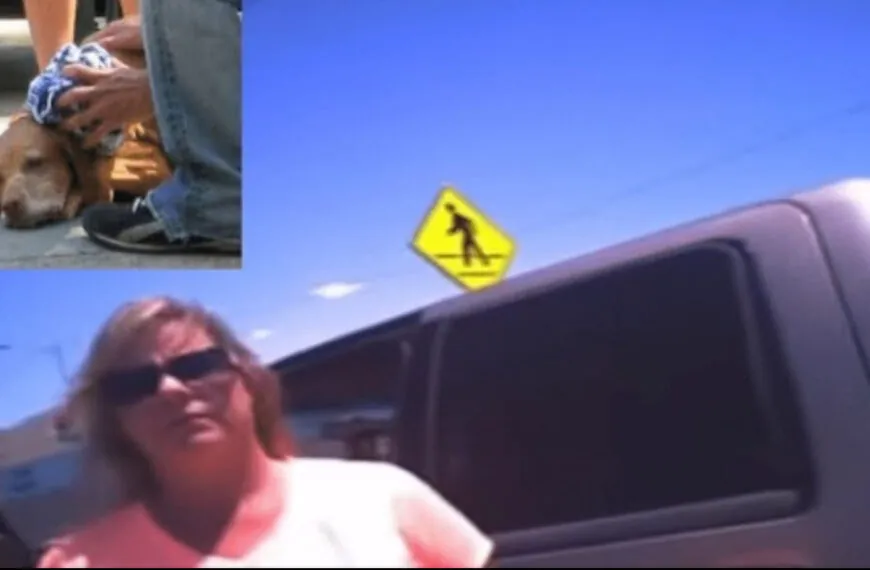 Vorwurf, Video und Verantwortung: Ein viraler Fall wirft Fragen zum Umgang mit Mensch und Tier auf