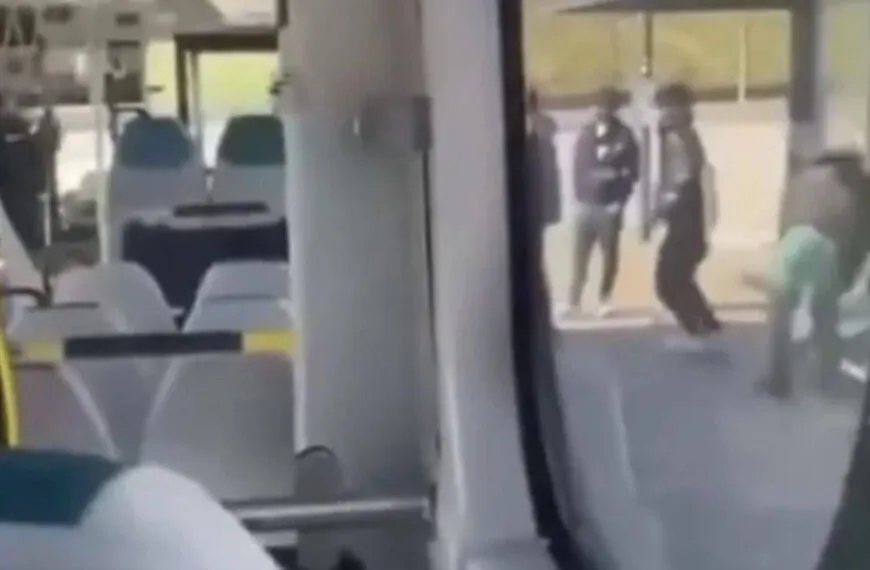 Wenn Angst den Alltag bestimmt – Ein Bus, ein Fahrer und ein virales Video