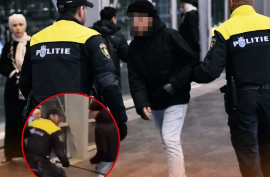 Video von Polizeieinsatz an niederl&auml;ndischem Bahnhof sorgt f&uuml;r Diskussionen