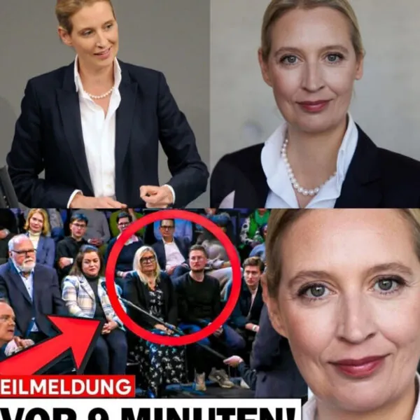 Versteckte Kameras, virale Emp&ouml;rung und die Frage nach der Wahrheit: Wie Inszenierungsvorw&uuml;rfe, Polizeivideos und Medienmisstrauen das Netz pr&auml;gen