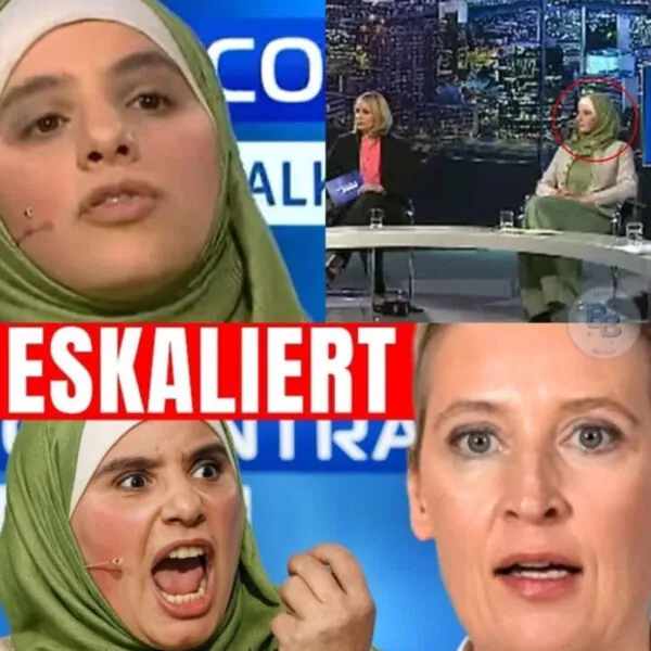 Wenn Talkshows eskalieren: Medienlogik, Emotionen und die Verantwortung &ouml;ffentlicher Debatten