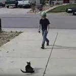 Die wunderbare Beziehung eines Jungen zu einer ein&auml;ugigen Katze