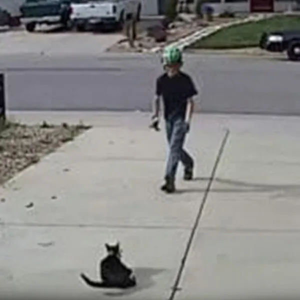 Die wunderbare Beziehung eines Jungen zu einer ein&auml;ugigen Katze