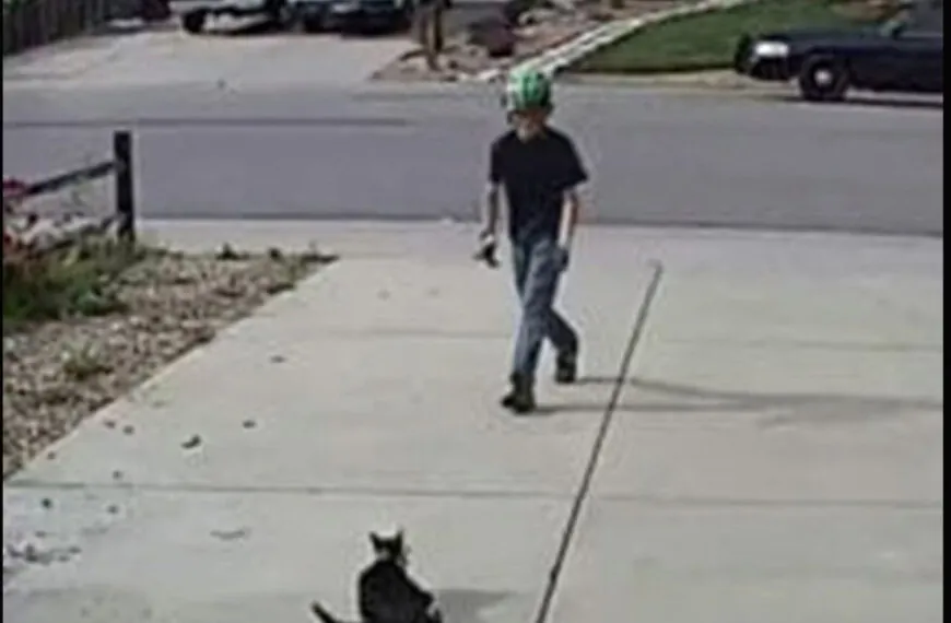 Die wunderbare Beziehung eines Jungen zu einer ein&auml;ugigen Katze