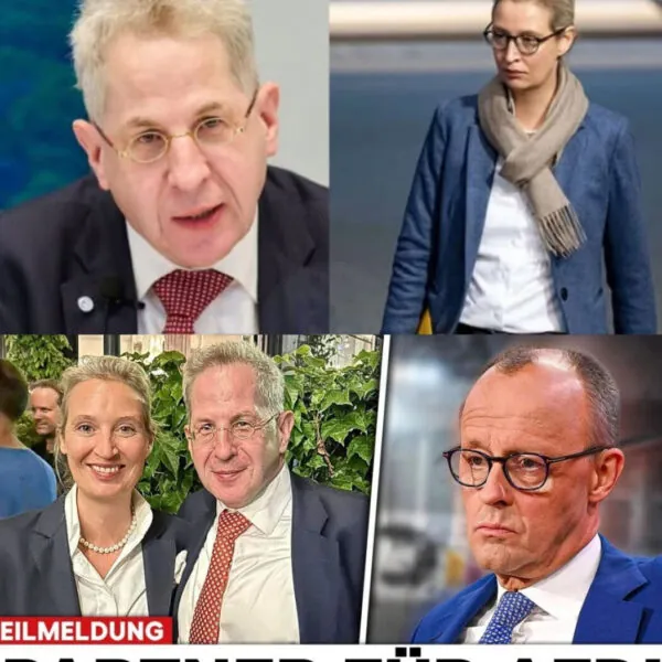 Politische Debatte um Hans-Georg Maa&szlig;en und die AfD: Symbolik, Strategie und m&ouml;gliche Folgen