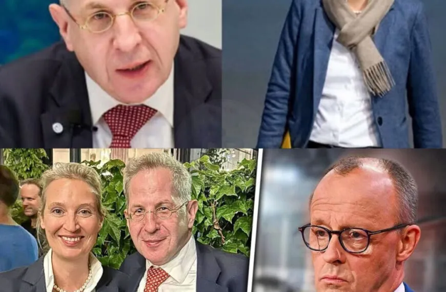 Politische Debatte um Hans-Georg Maa&szlig;en und die AfD: Symbolik, Strategie und m&ouml;gliche Folgen