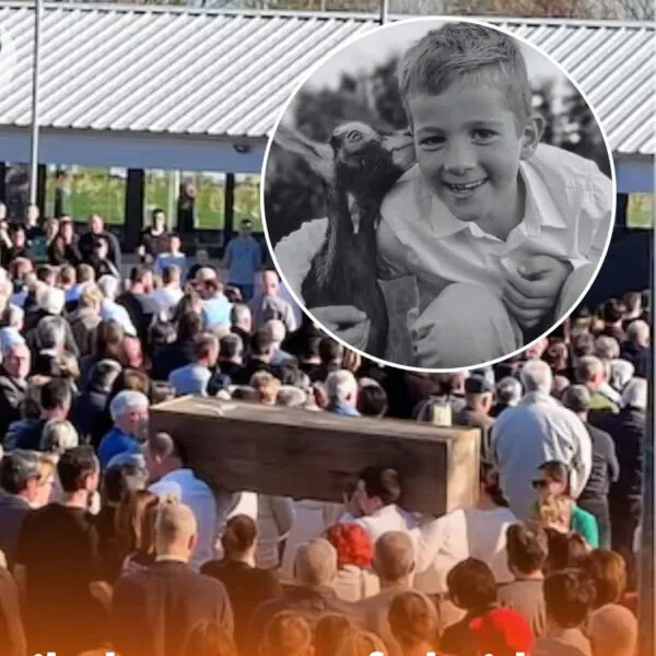 Kruibeke trauert um Loui Van Wauwe (8): Tragischer Unfall auf Familienbauernhof erschüttert eine ganze Gemeinde