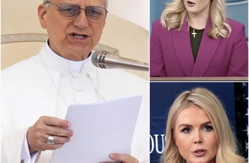 Worte mit Sprengkraft: Wie eine ungew&ouml;hnlich klare Botschaft aus dem Vatikan eine globale Debatte ausl&ouml;ste