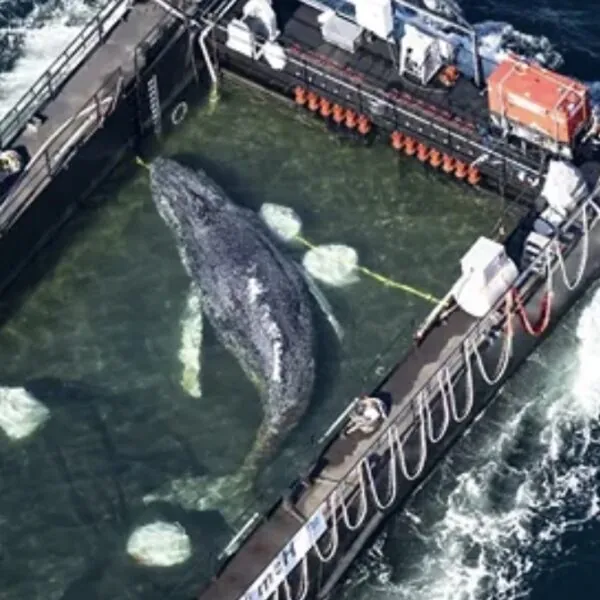 &bdquo;Alle dachten, es sei ein Wunder&ldquo; &ndash; Doch was wirklich hinter Timmys Gesang steckt, sorgt jetzt f&uuml;r gro&szlig;e Sorge