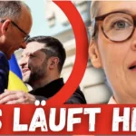 debatte-um-friedrich-merz