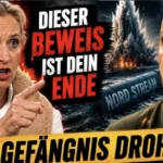 Debatte um Nord Stream im Bundestag: Neue politische Vorw&uuml;rfe sorgen f&uuml;r Diskussionen